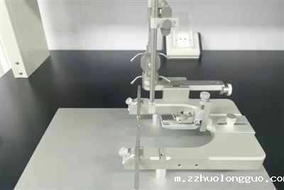 大鼠脑出血模型