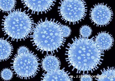 过表达慢病毒构建