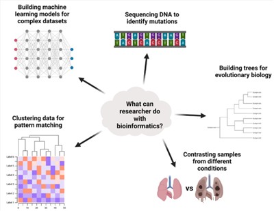 生物信息学分析