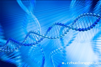 引物设计与合成